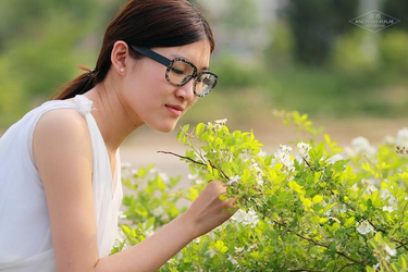 污视频大全分类浏览界面
